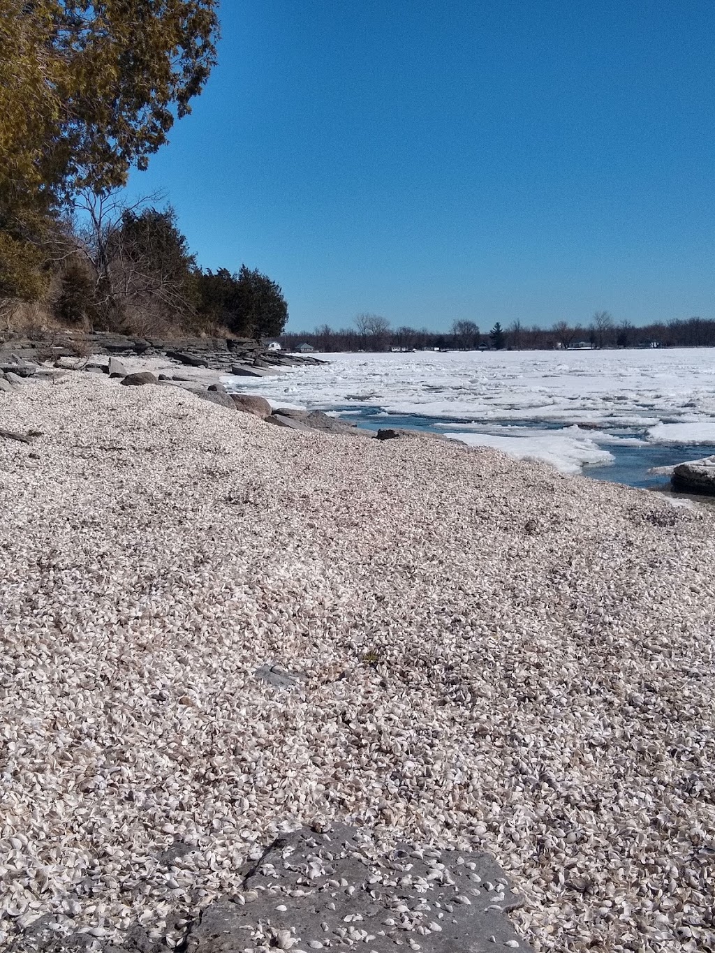 Ray Bay Beach | Henderson, NY 13650, USA