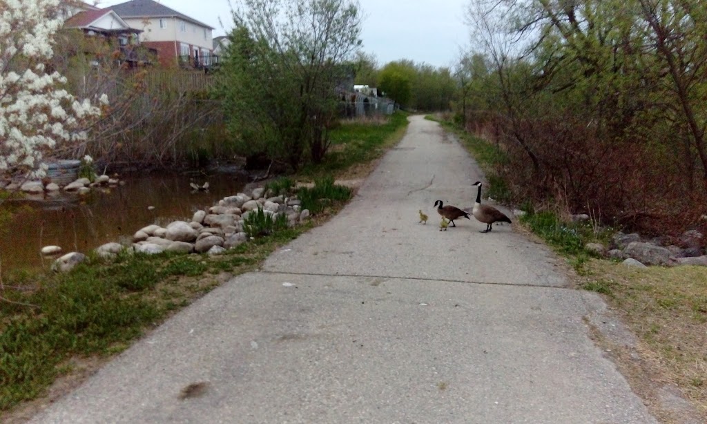 Detweiler Greenway | Highland West, Kitchener, ON N2N, Canada