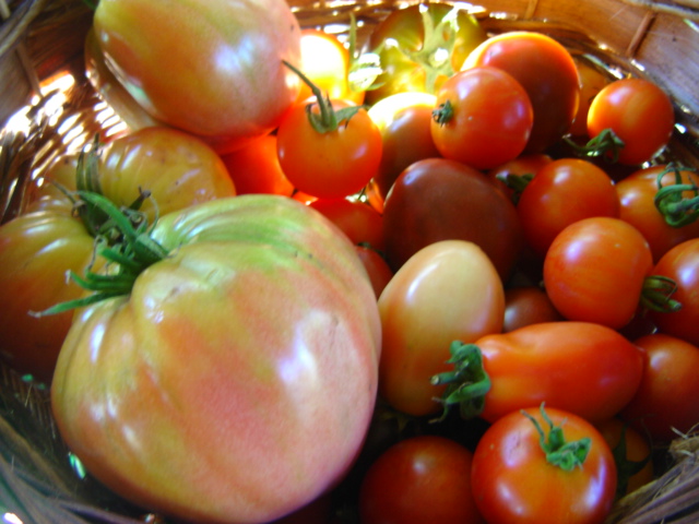 Full Bloom Farm | 2330 Tuttle Ln, Lummi Island, WA 98262, USA | Phone: (360) 758-7173