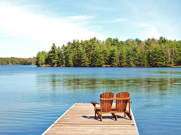 Lone Wolf Property Management | 25 Shoreline Dr, Bracebridge, ON P1L 1Z3, Canada | Phone: (705) 205-2085