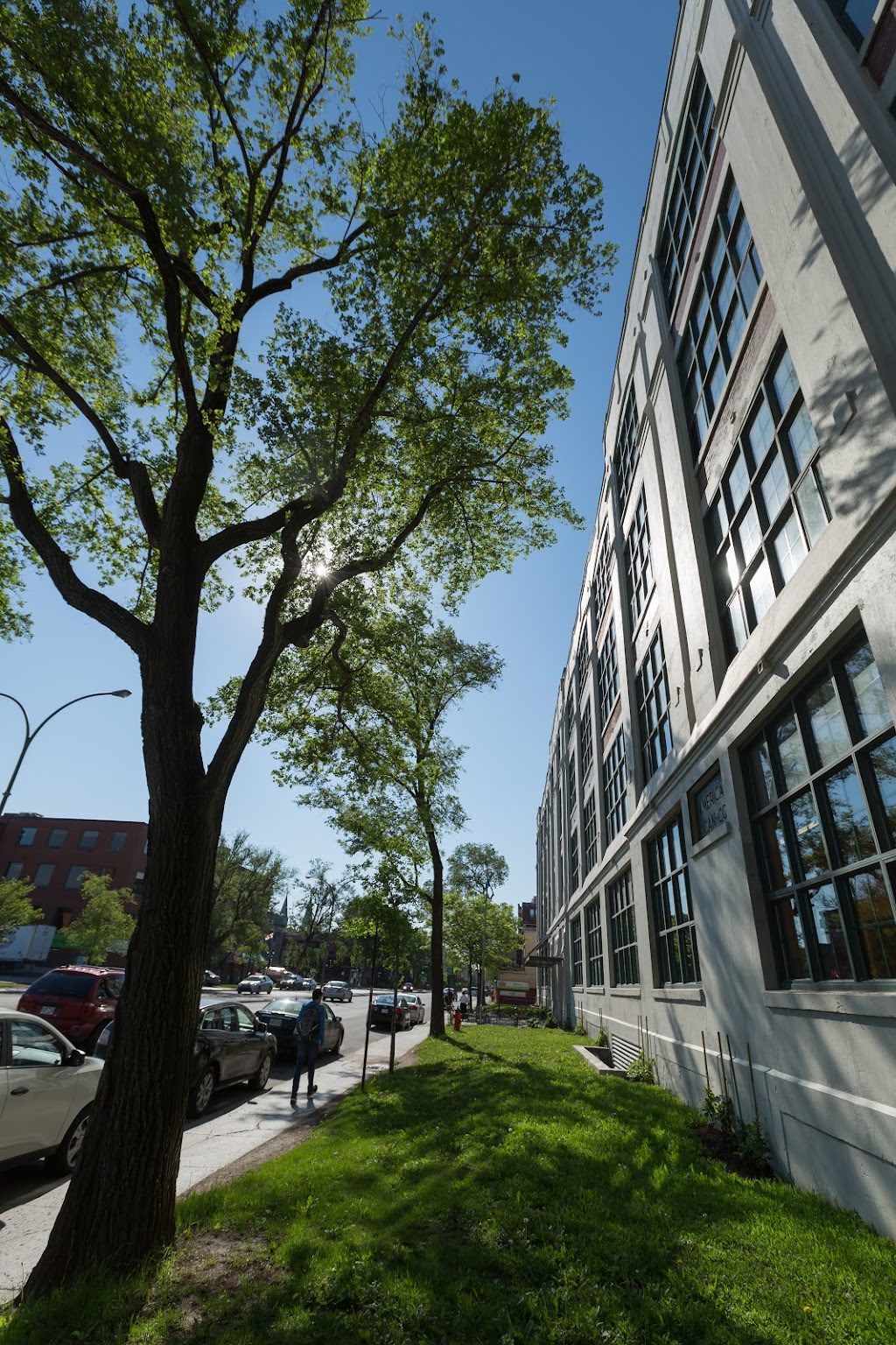 Collège de Maisonneuve | 2030 Pie-IX Blvd #430, Montreal, QC H1V 2C8, Canada | Phone: (514) 254-7131