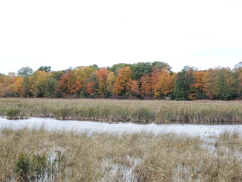 Beaver Meadow Wildlife Management Area | Prince Edward, ON K0K, Canada | Phone: (613) 968-3434