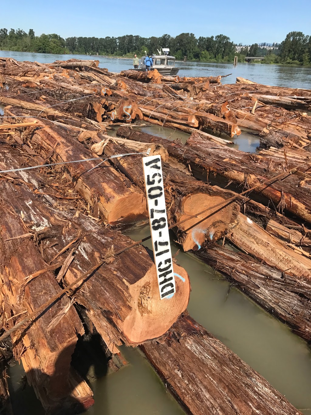 Platinum Cedar Sales | 3542 McKinley Dr, Abbotsford, BC V2S 8M6, Canada | Phone: (604) 615-2534