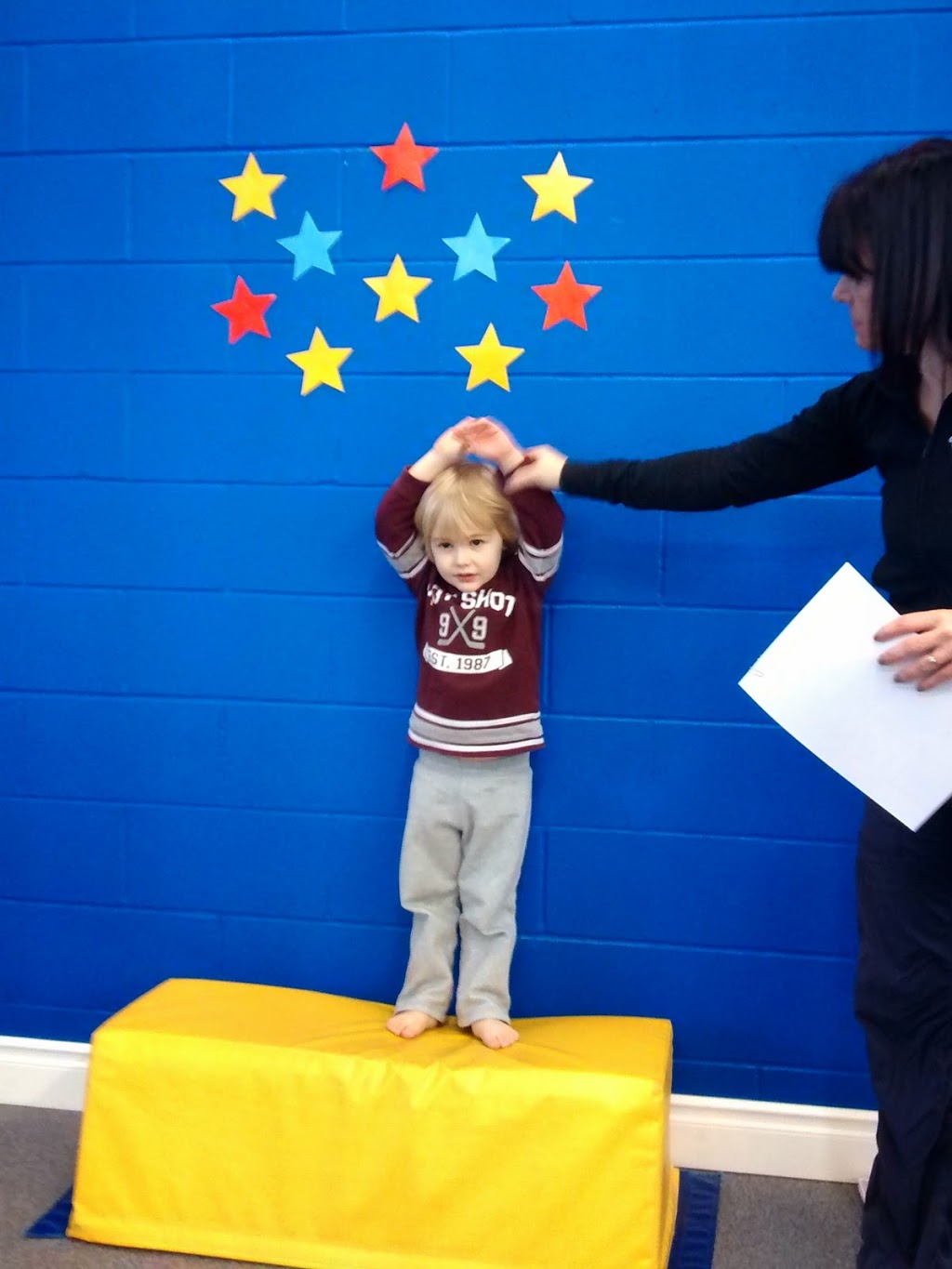 CARTWHEELS GYM CENTRE | 12 Armstrong Ave, Georgetown, ON L7G 4R9, Canada | Phone: (905) 702-9904