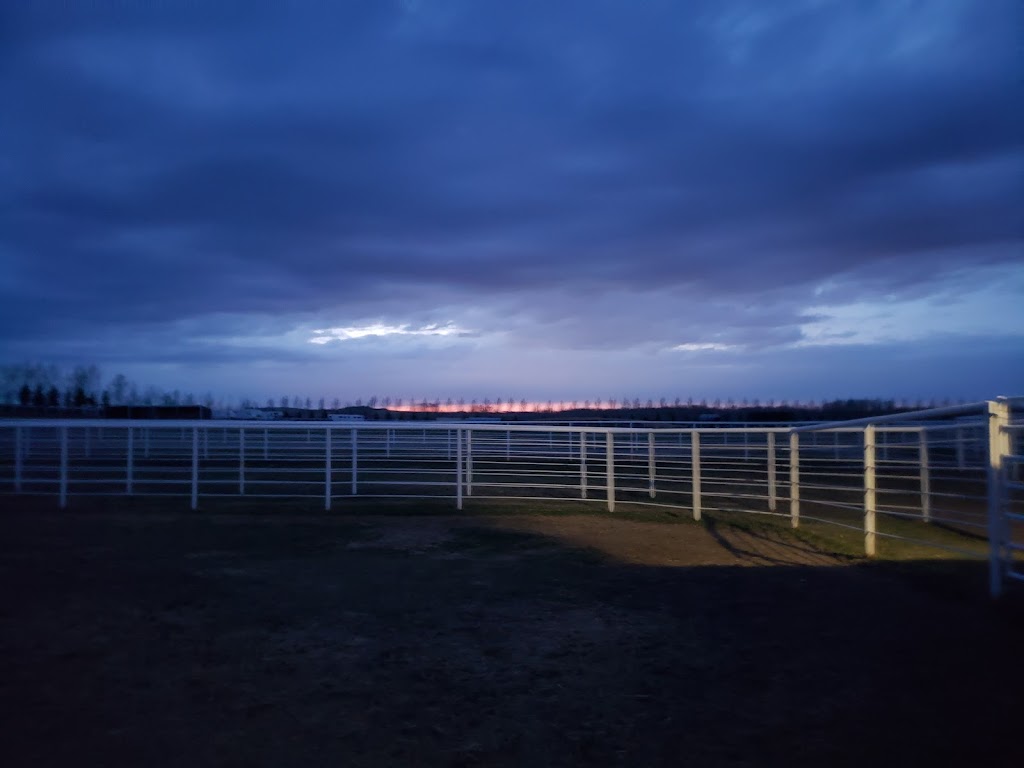 Bar None Ranches | 322133 Hwy 552 W, De Winton, AB T0L 0X0, Canada | Phone: (403) 938-9956