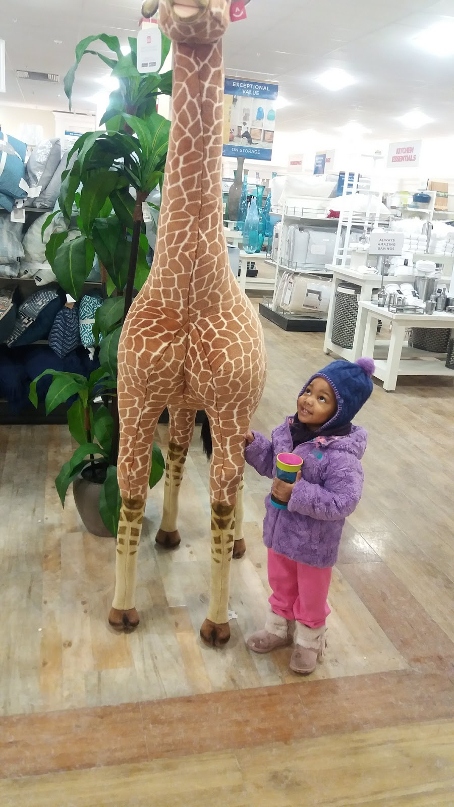 HomeGoods | 3480 Amelia Dr, Orchard Park, NY 14127, USA | Phone: (716) 821-9271