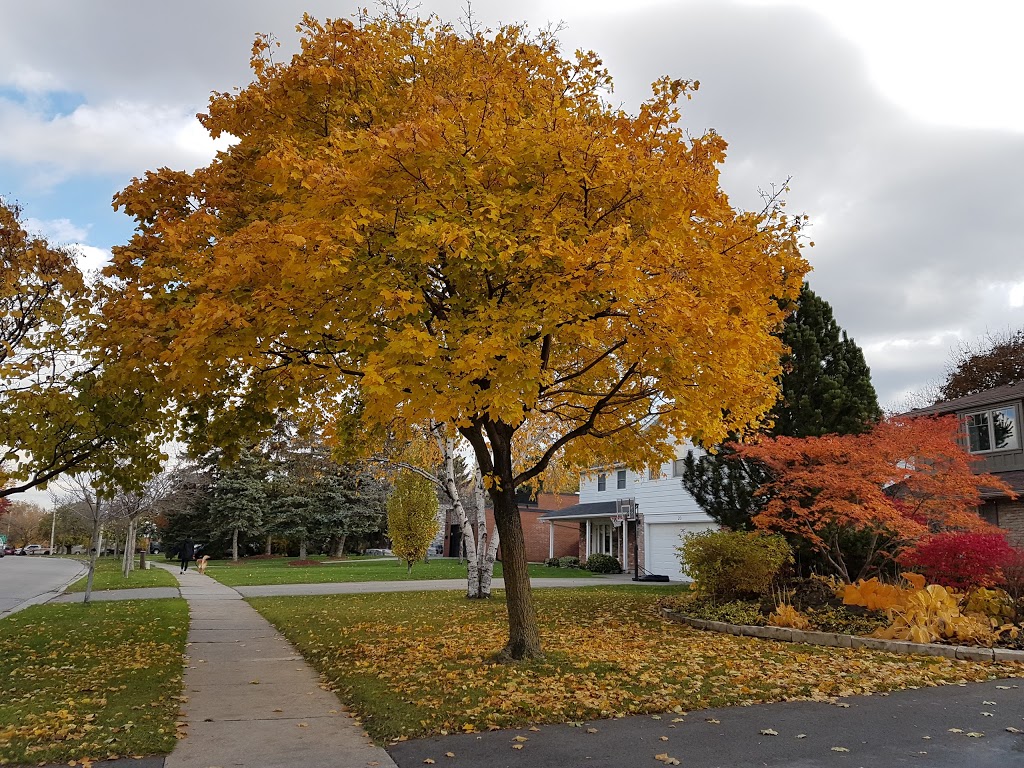 Meadow Green | Streetsville, Mississauga, ON L5N, Canada | Phone: (905) 273-3344
