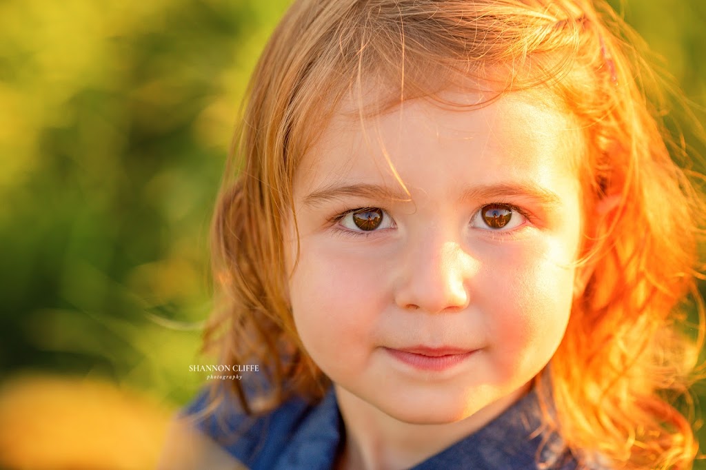 Shannon Cliffe Photography | 131 Sloan Dr, Thamesford, ON N0M 2M0, Canada | Phone: (226) 268-0112