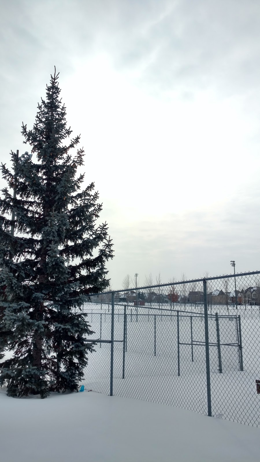 Edward Janiszewski Park | 264 Rue Ernest, Dollard-des-Ormeaux, QC H9A 3G6, Canada | Phone: (514) 684-6111