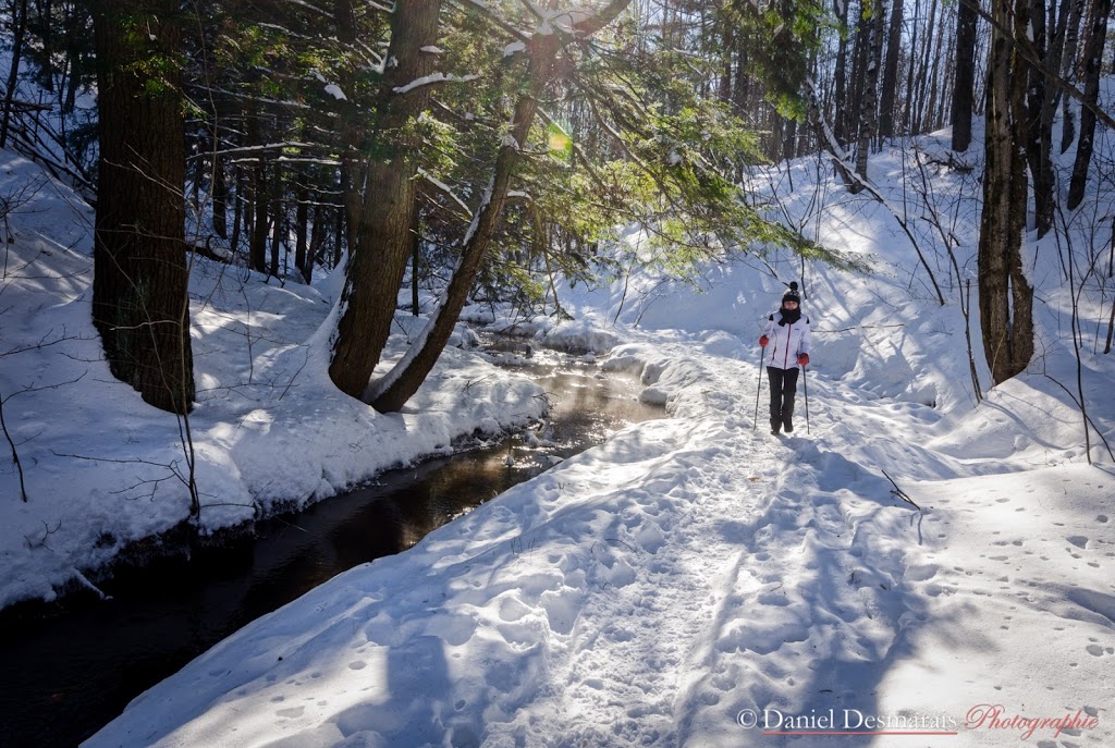 Aire écologique du ruisseau Lachapelle | 215 Boulevard des Estacades, Trois-Rivières, QC G8W 1P5, Canada