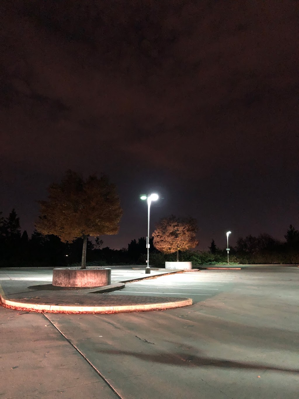 QE Park Reservoir Parking Lot | Queen Elizabeth Park, Vancouver, BC V5Y, Canada | Phone: (604) 873-7000