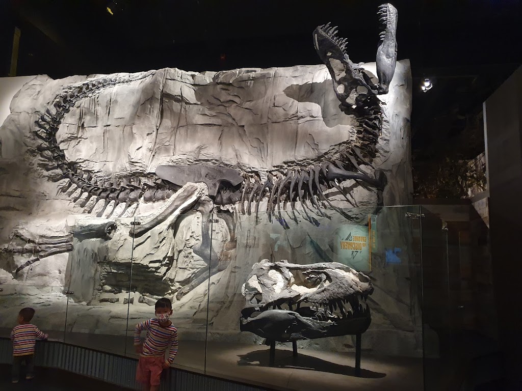 Royal Tyrrell Museum | museum | 1500 N Dinosaur Trail, Drumheller, AB T0J 0Y0, Canada | 4038237707 OR +1 403-823-7707