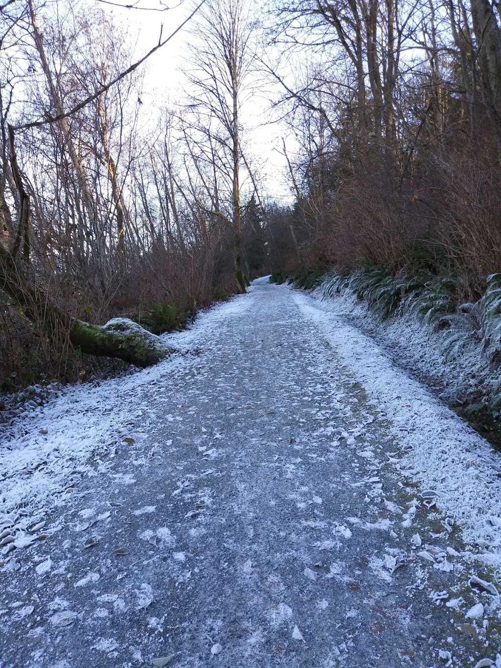Scenic Park | 5321 Scenic Hwy, Burnaby, BC V5C 1X9, Canada | Phone: (604) 294-7450