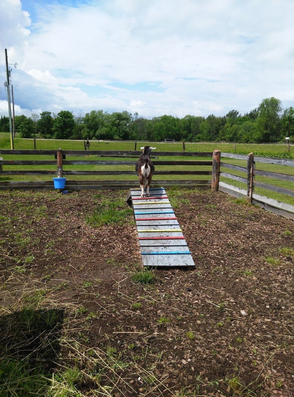 Farmers Pantry | 788030, Grey County Rd 13, Clarksburg, ON N0H 1J0, Canada | Phone: (519) 599-3691