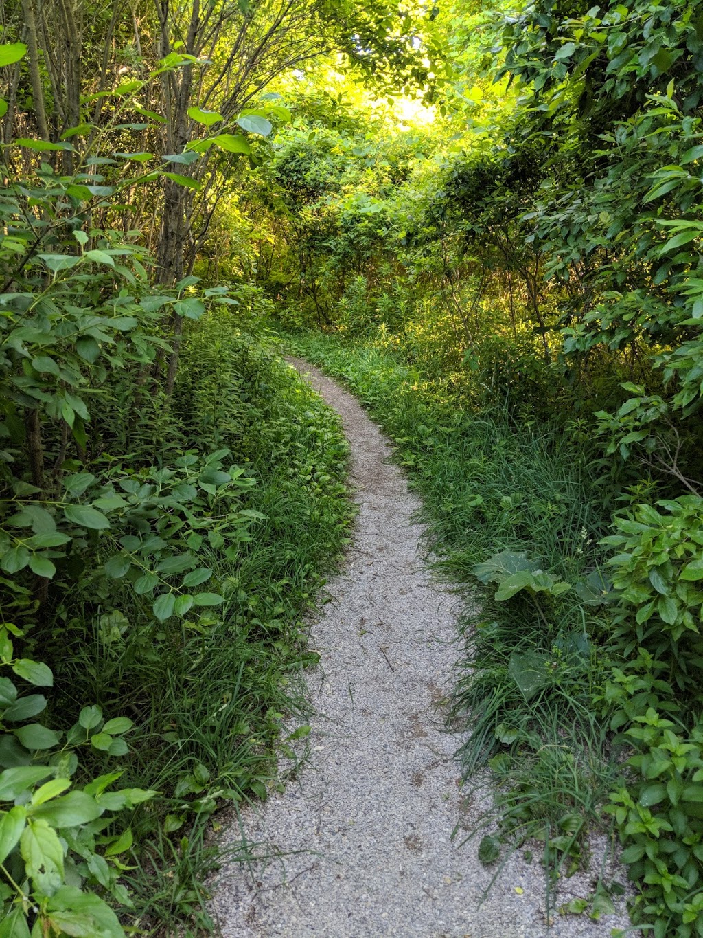 Kilally Meadows - Environmently Significant Area | 5V3, 17-29 Edgevalley Rd, London, ON N5Y 6L5, Canada