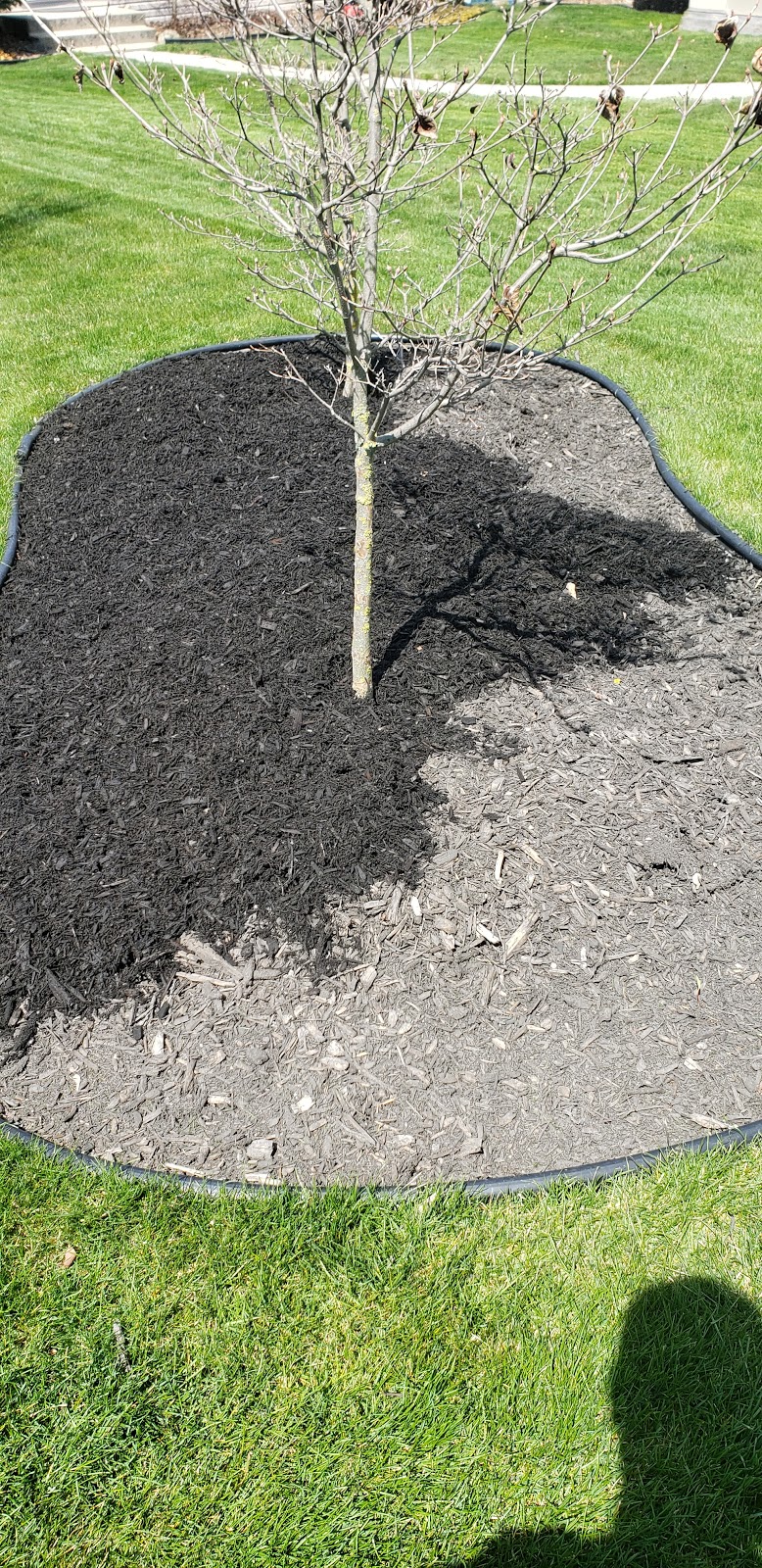 Green Scene Lawn Care | 252 Hill St, Corunna, ON N0N 1G0, Canada | Phone: (519) 330-8578