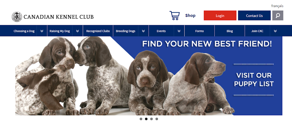 Canadian Kennel Club | 200 Ronson Dr, Etobicoke, ON M9W 5Z9, Canada | Phone: (416) 675-5511