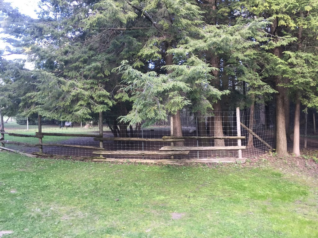 Dawg Dayz Inn | 5434 3 Line, Hillsburgh, ON N0B 1Z0, Canada | Phone: (519) 833-3294