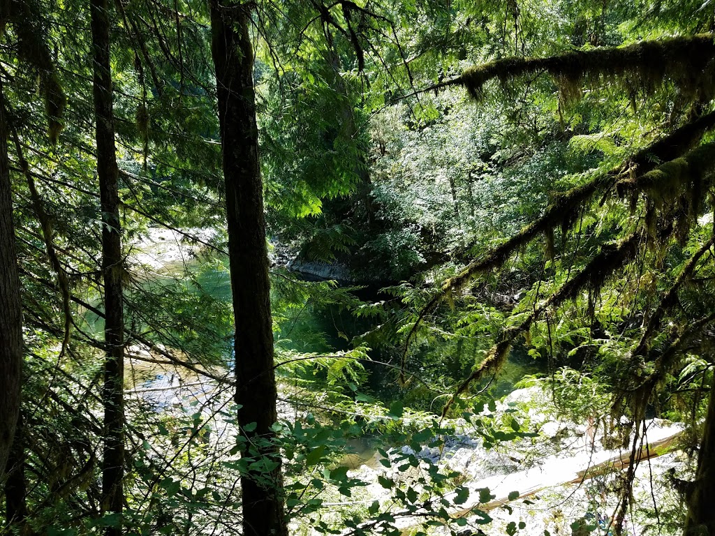 Kingburne Park | 2386 Gray Ln, Cobble Hill, BC V0R 1L5, Canada | Phone: (250) 746-2620