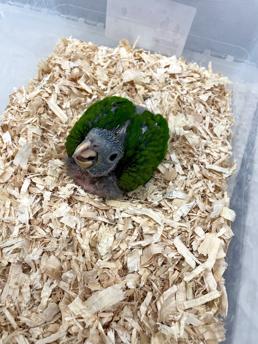 Vinces Pet Centre | 91 Friuli Ct, Woodbridge, ON L4L 7H2, Canada | Phone: (905) 856-0426