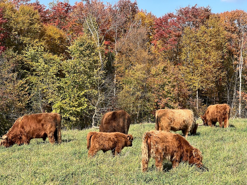 Springer Lake Farms | 45184 Browntown Rd, Listowel, ON N4W 3G7, Canada | Phone: (519) 498-3298