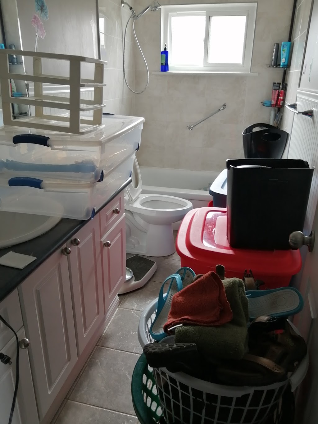 All Corners Pest Control | 265 Barton Street #33F, Stoney Creek, ON L8E 2K4, Canada | Phone: (905) 385-1818