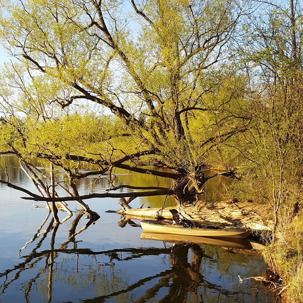 Twickenham Park | Richmond Hill, ON L4C 0E2, Canada | Phone: (905) 771-8870