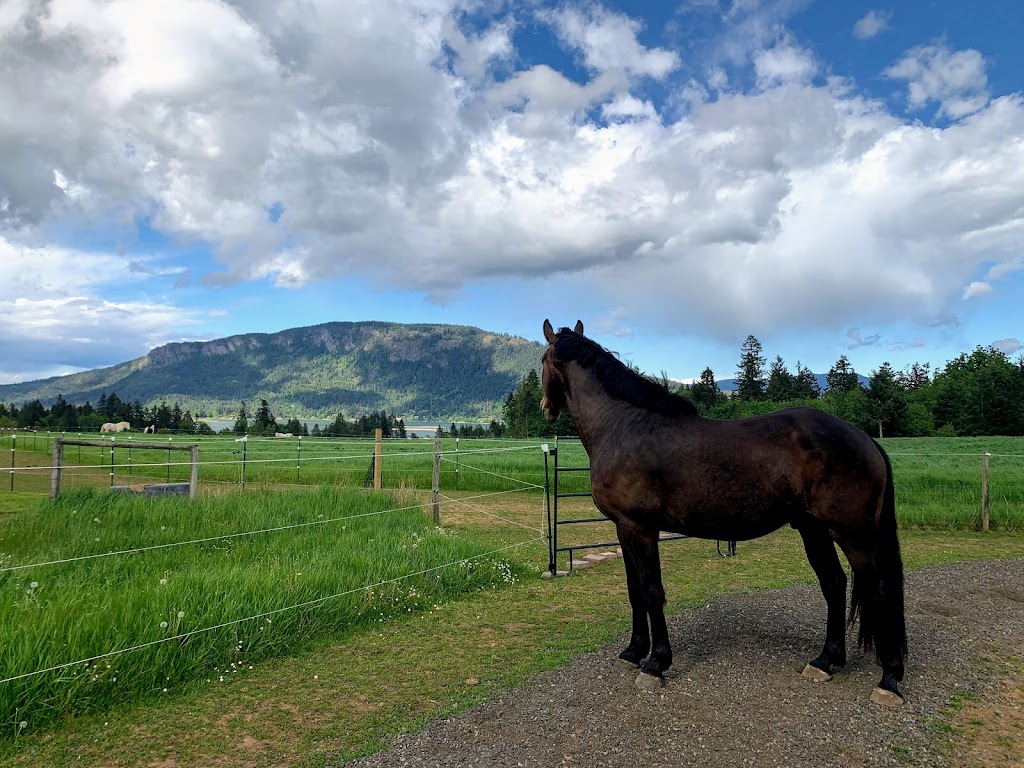Little Blackbird Farm | 1885 Wilmot Rd, Cowichan Bay, BC V0R 1N1, Canada | Phone: (250) 888-5816