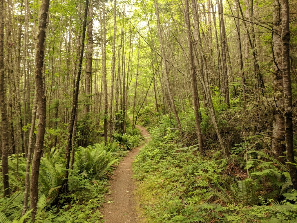 Blanchard mountain Trail Lower Parking lot | Bow, WA 98232, USA