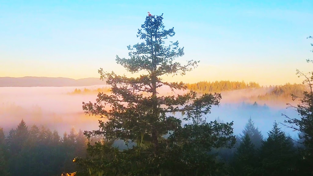Quadra vista farmstay | Conville Bay Rd, Strathcona, BC V0P 1H0, Canada | Phone: (514) 717-8893
