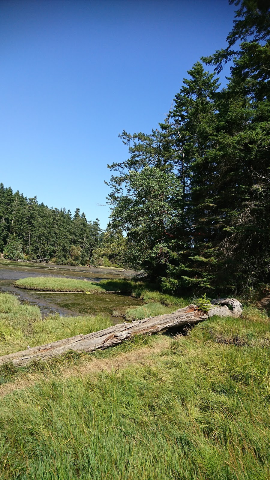 Wittys Lagoon | Metchosin, BC V9C 4H8, Canada | Phone: (250) 478-3344