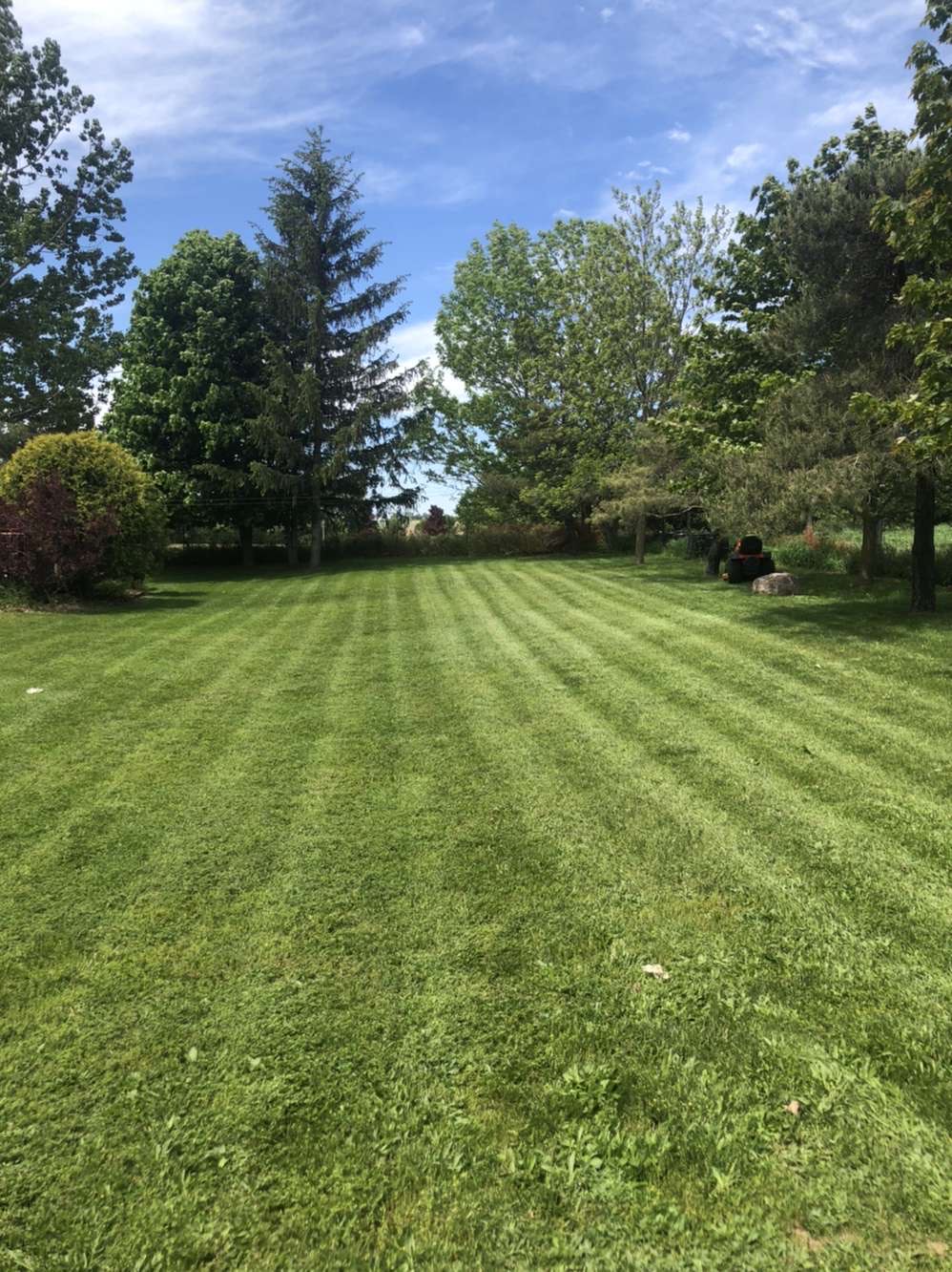 Omr Lawn Services | 5255 Boyne St, Alliston, ON L9R 1V2, Canada | Phone: (705) 440-8586