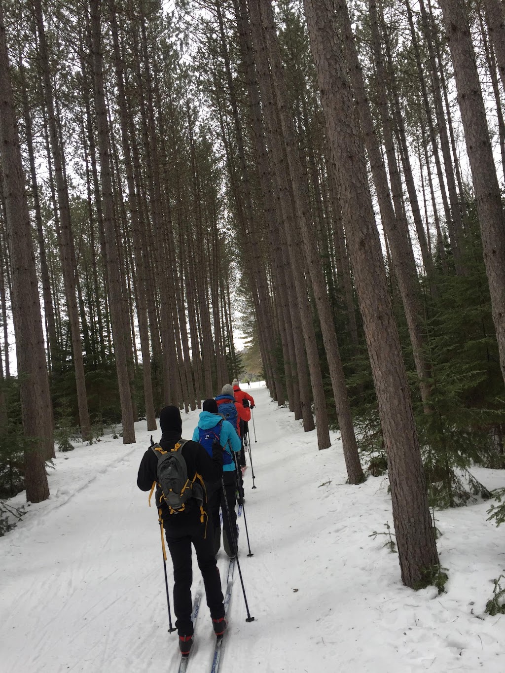 Ski de fond Mont-Tremblant | 251 Chemin Clément, Mont-Tremblant, QC J8E 1N8, Canada | Phone: (819) 425-5588