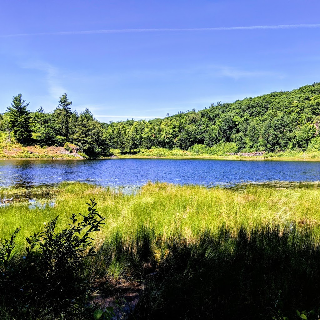 King Mountain Trail | Promenade Champlain, Chelsea, QC J9B 1A3, Canada
