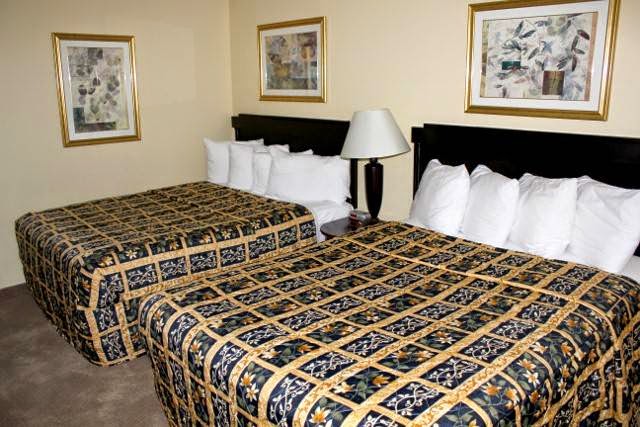 Econo Lodge Causeway Bay | 4420 16 Ave NW, Calgary, AB T3B 0M4, Canada | Phone: (403) 288-7115