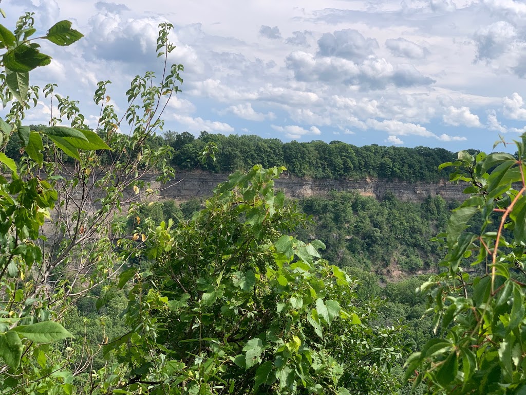 Butterfly Conservatory Parking | 2565 Niagara Pkwy, Niagara-on-the-Lake, ON L0S 1J0, Canada | Phone: (905) 358-0025