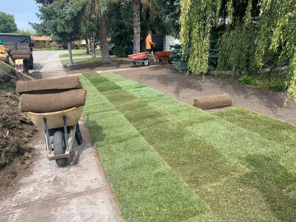 The Sod Guy Inc | 48 Maplecourt Crescent SE, Calgary, AB T2J 1V7, Canada | Phone: (403) 510-4924