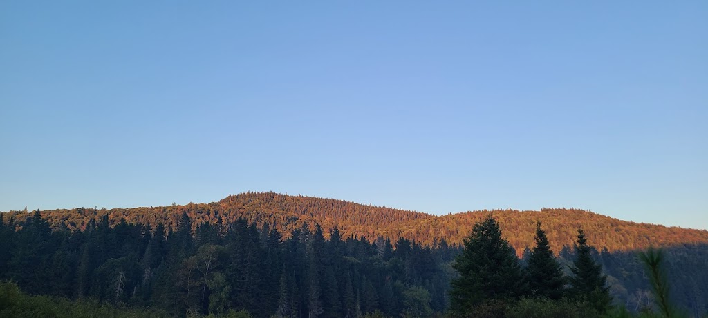 Camping Pinson Chanteur | 2954 QC-125, Saint-Donat, QC J0T 2C0, Canada | Phone: (819) 424-2954
