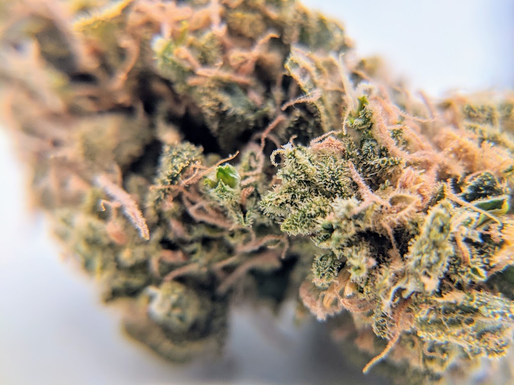 WeeCanna | 150 West St, Simcoe, ON N3Y 5C1, Canada | Phone: (226) 798-1909