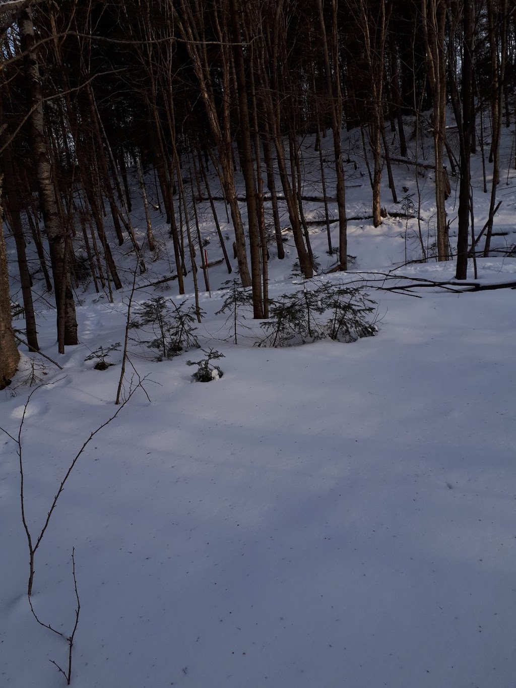 Terrain multifonctionnel de St-Elzéar | Rue des Loisirs, Saint-Elzéar, QC G0S 2J0, Canada | Phone: (418) 387-2534