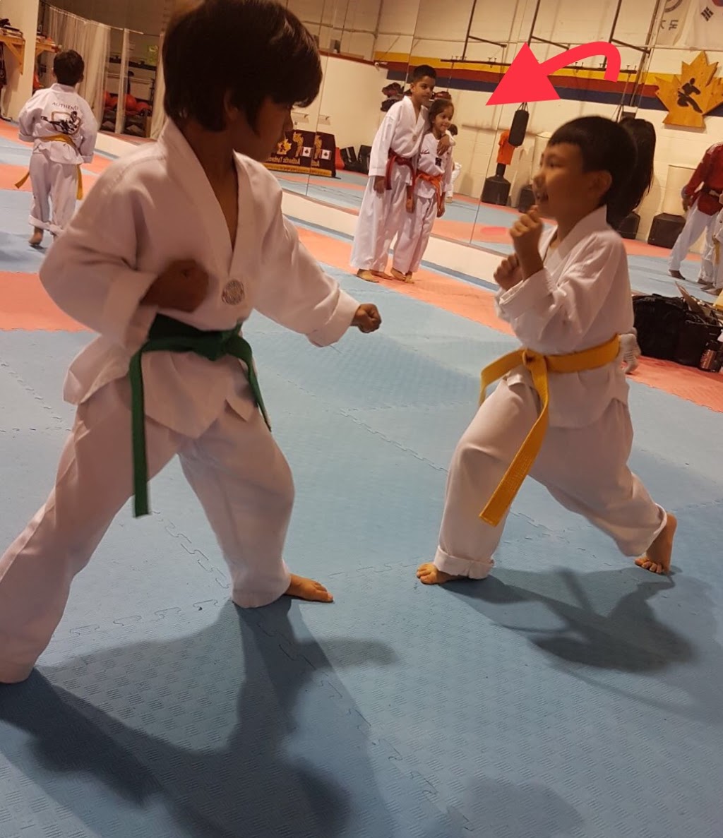 United Martial Arts Scarborough | 565 Markham Rd, Scarborough, ON M1H 2A3, Canada | Phone: (416) 439-4788