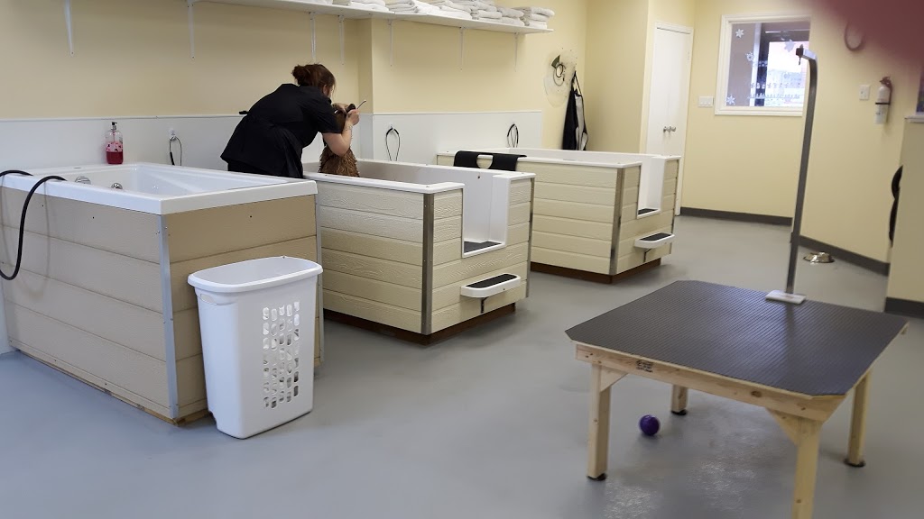 Paws in The Bath Dog Grooming | 1100 Gorham St #21, Newmarket, ON L3Y 8Y8, Canada | Phone: (905) 235-7227