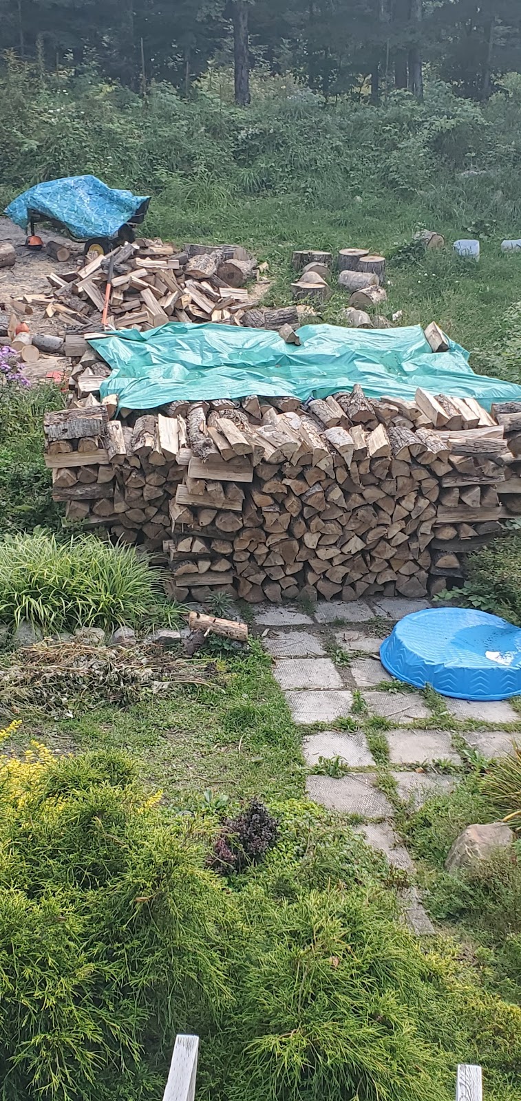 Muskoka Family Firewood | 160 White House Rd, Huntsville, ON P1H 2J3, Canada | Phone: (705) 349-0475