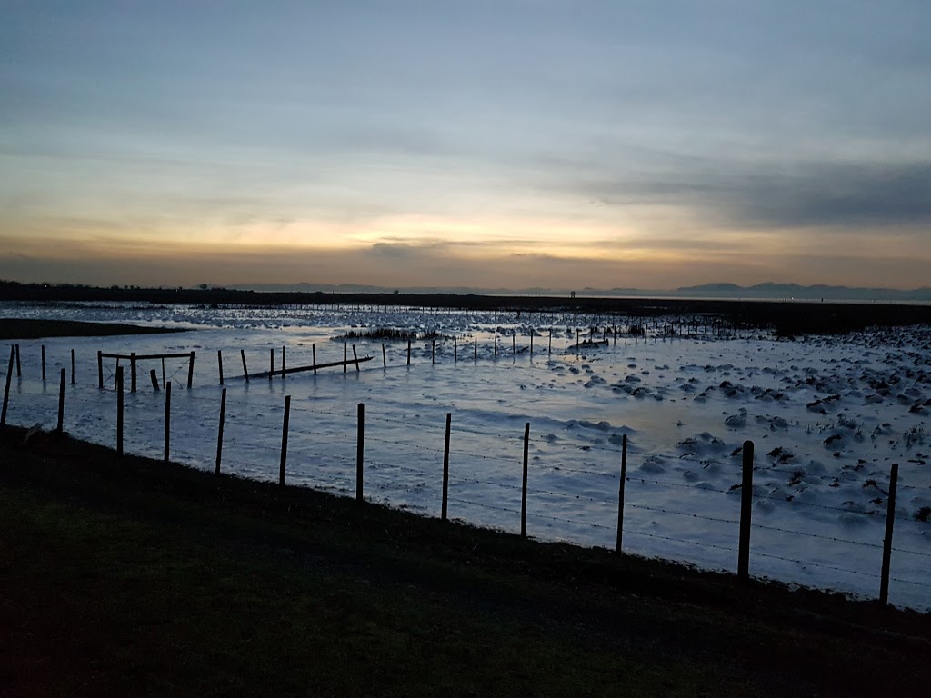 Steveston Stock and Seed Farm | 2871 Steveston Hwy, Richmond, BC V7E 2J1, Canada | Phone: (604) 277-7759
