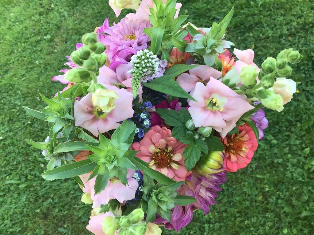 Willanna Farm: Seasonal Bouquets, Christmas Trees and more | 4062 Lefeuvre Rd, Abbotsford, BC V4X 1N8, Canada | Phone: (604) 850-4196