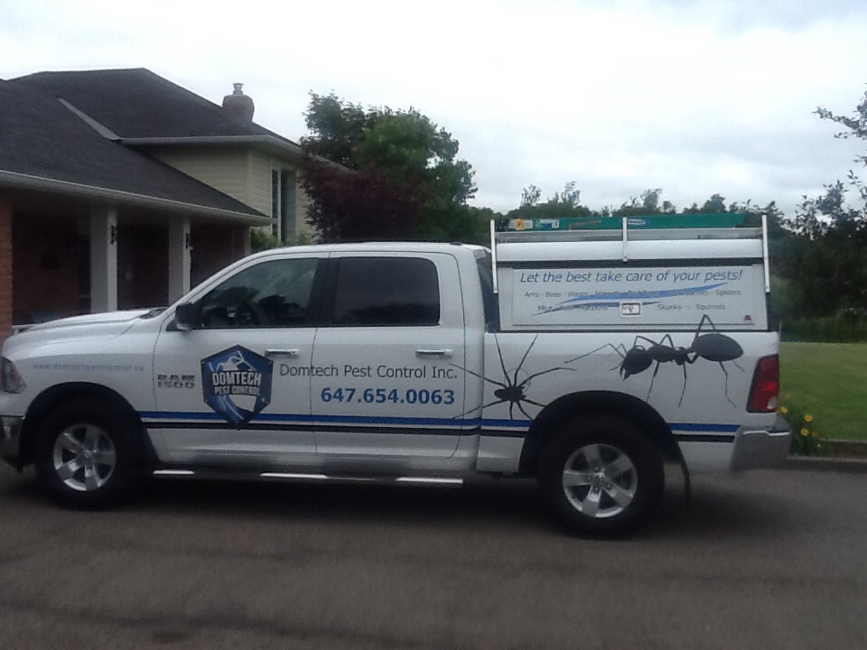 Domtech Pest Control Inc | 4 McGregor Dr, Caledon Village, ON L7K 0B2, Canada | Phone: (647) 654-0063