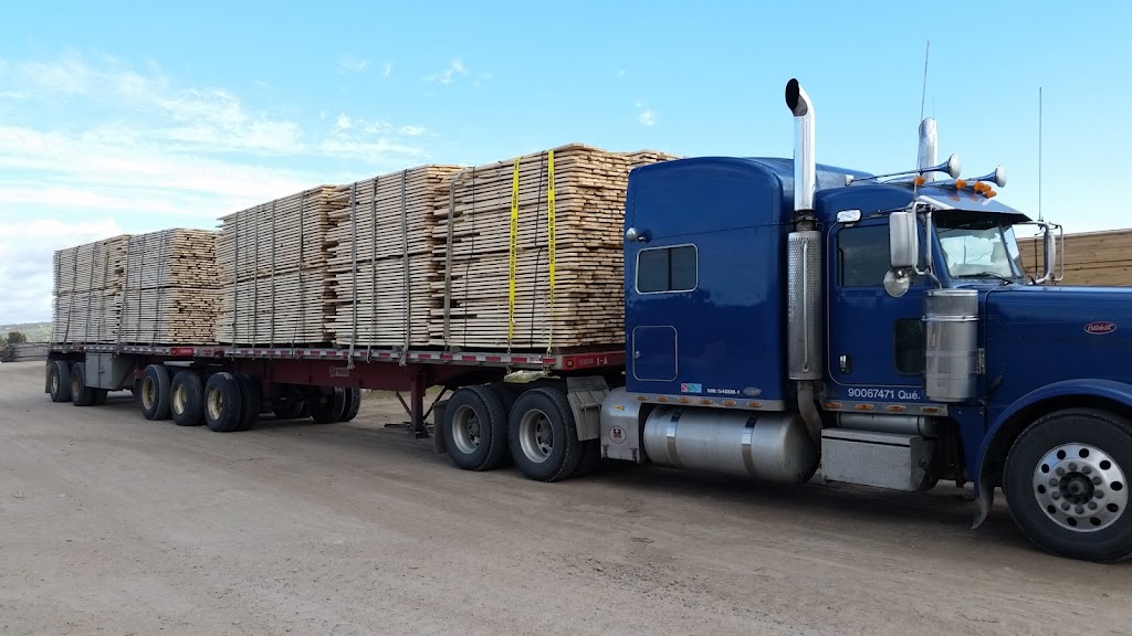 North American Sawmills Machinery | 206 Black Point Rd, Killaloe, ON K0J 2A0, Canada | Phone: (613) 757-2333