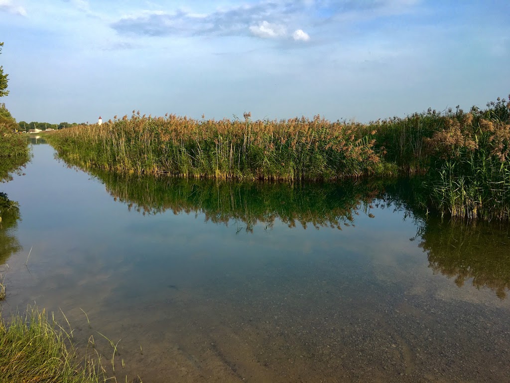 St. Johns Marsh Wildlife Area | Clay Township, MI 48001, USA