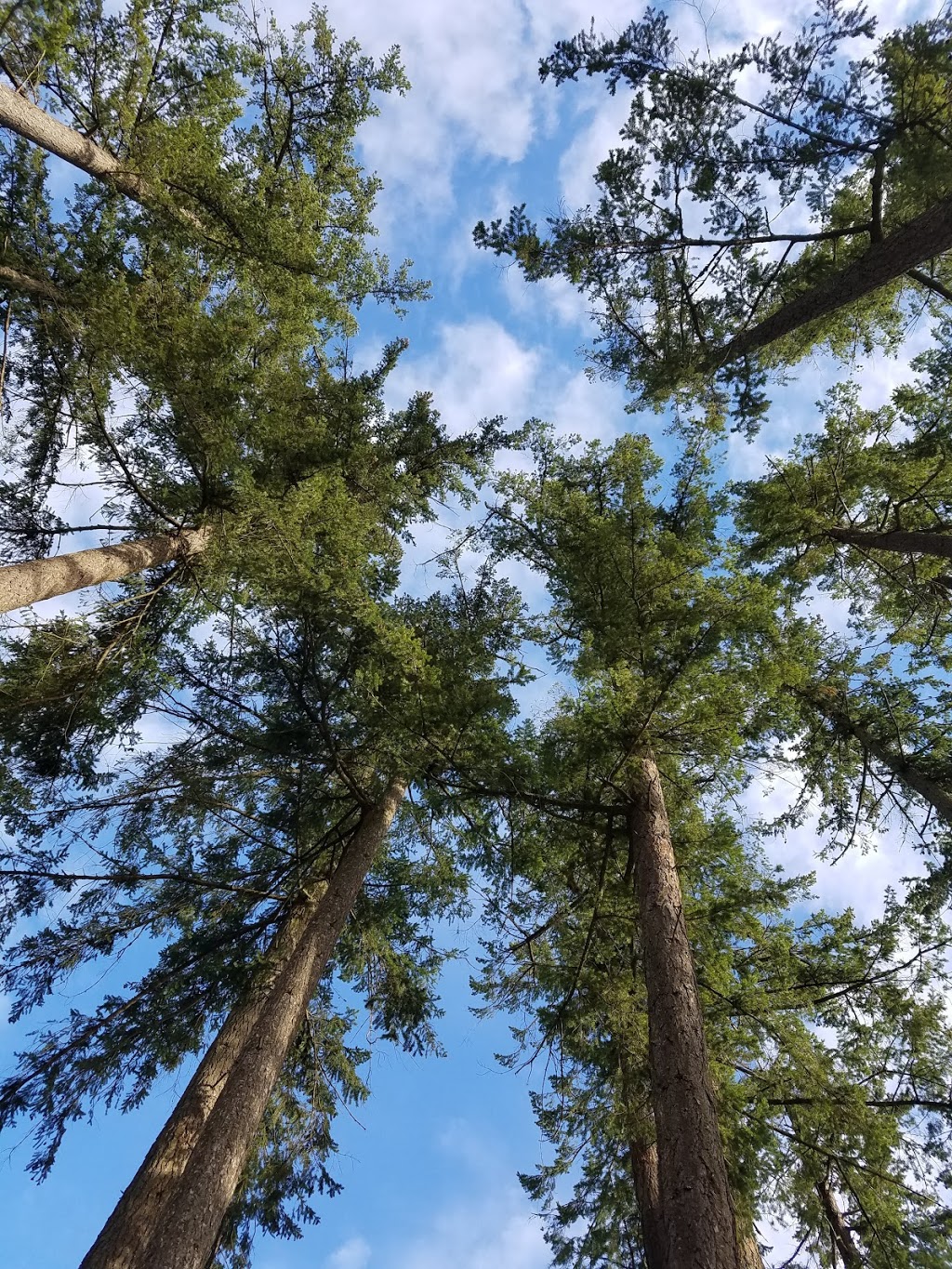 Art Mann Park | 5990 Indian Rd, Duncan, BC V9L 5L9, Canada