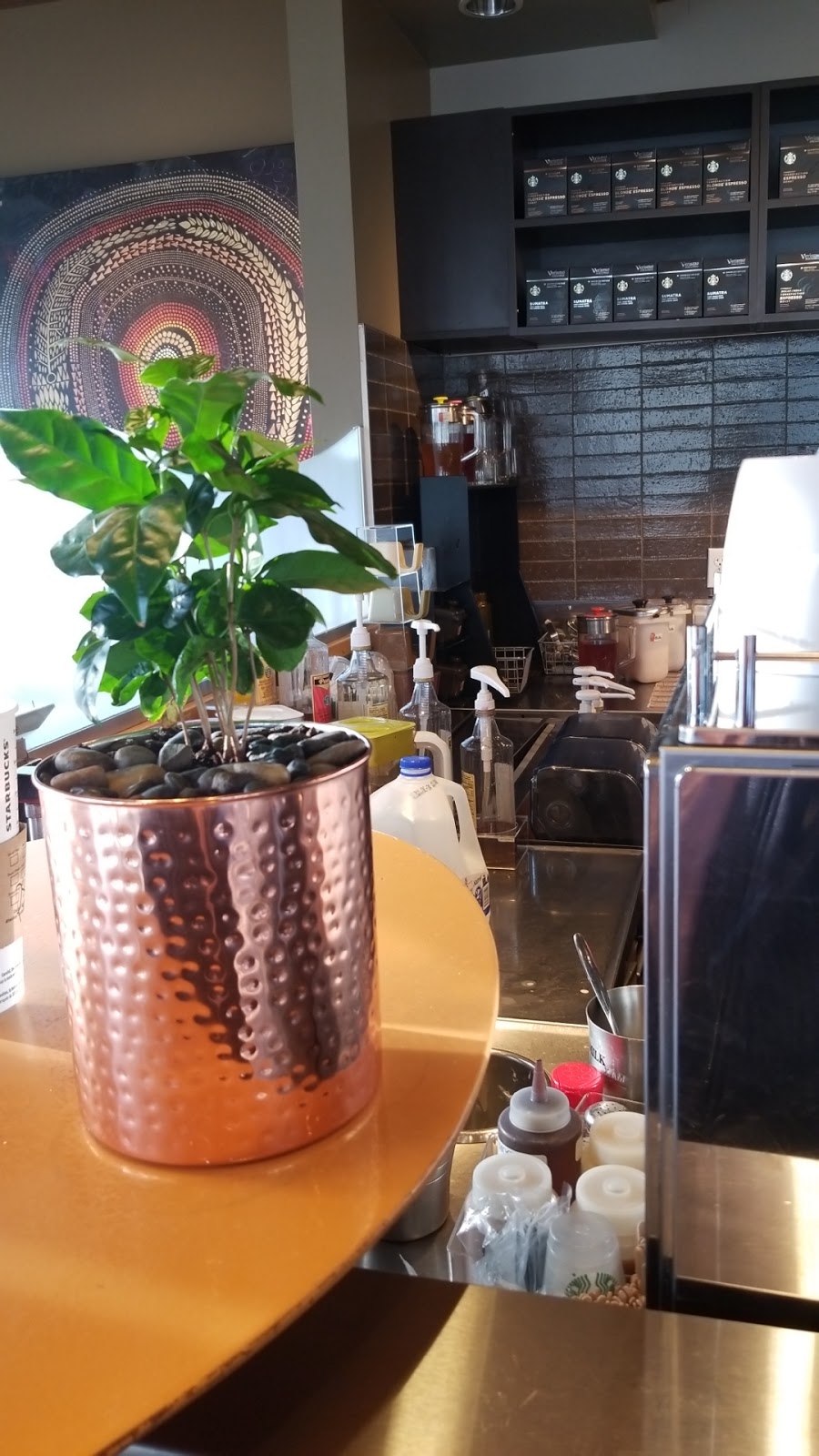 Starbucks | Shopping Center, 1615 Regent Ave W, Winnipeg, MB R2C 5C6, Canada | Phone: (204) 668-0146